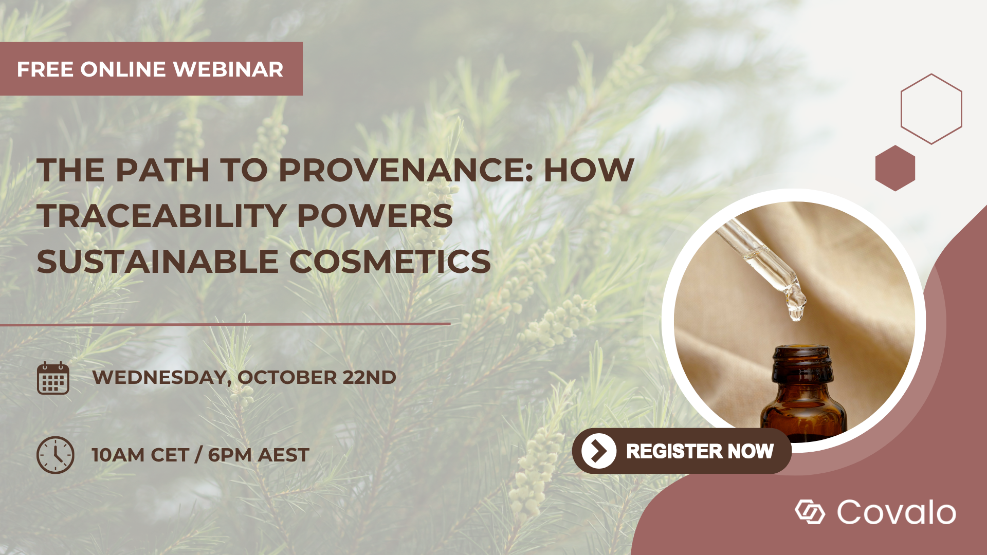 The Path to Provenance webinar The Path to Provenance webinar